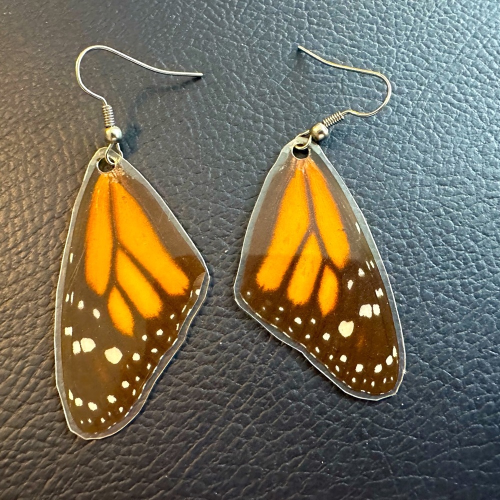 Real Monarch Butterfly Wing Earrings 🦋